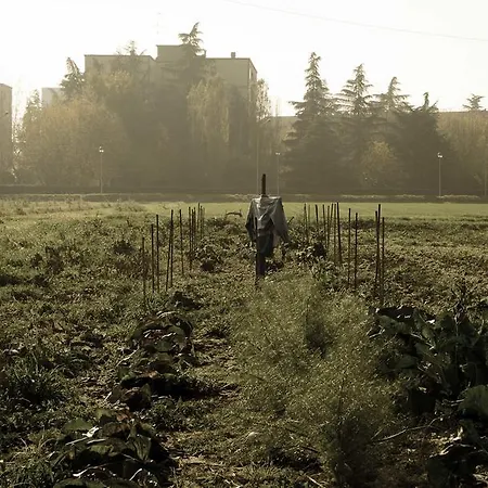 Podere San Giuliano * Σαν Λάτζαρο ντι Σάβενα