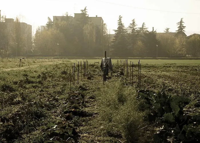 Podere San Giuliano * سان لاتْسارو دي سافين
