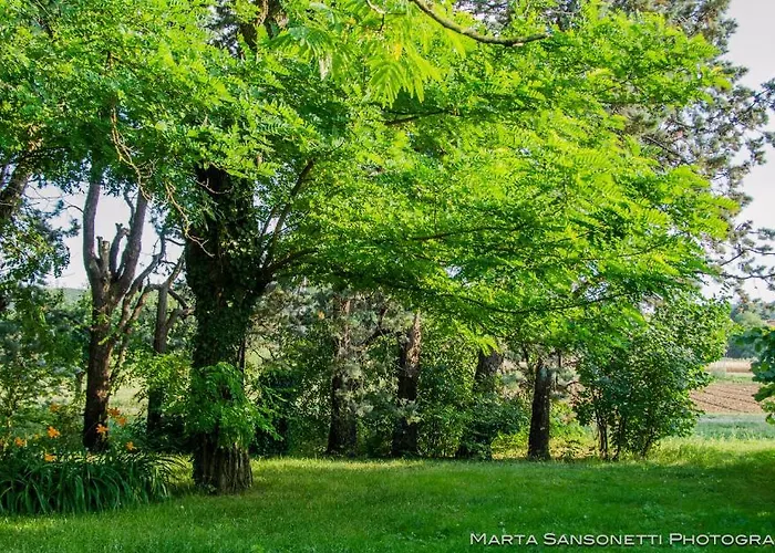 Podere San Giuliano Фермерский дом